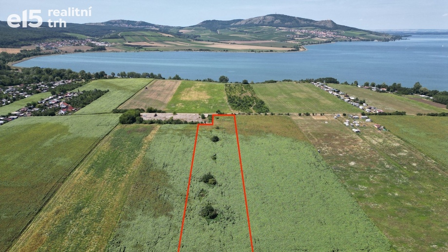 Prodej zemědělská půda, 17 804 m² - Přítluky - Nové Mlýny