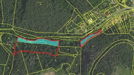 Prodej lesa 12 020 m², Letovice
