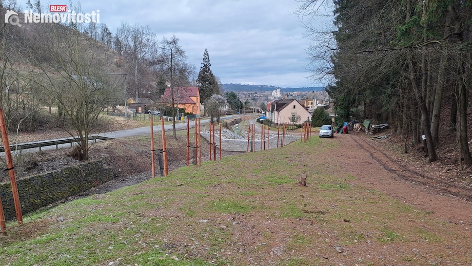 Prodej lesa 12 020 m², Letovice