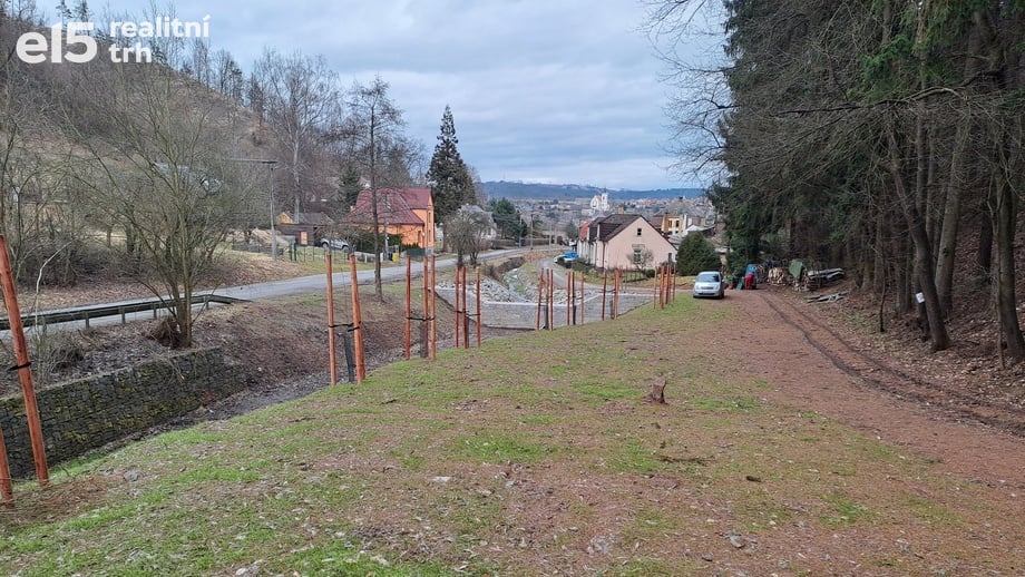 Prodej lesa 12 020 m², Letovice