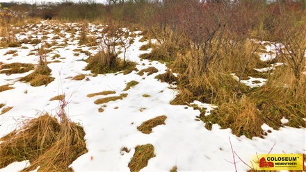 Prodej zahrady 473 m², Znojmo