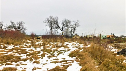 Prodej zahrady 473 m², Znojmo