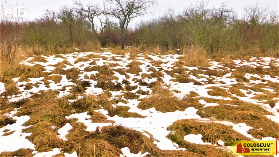 Prodej zahrady 473 m², Znojmo