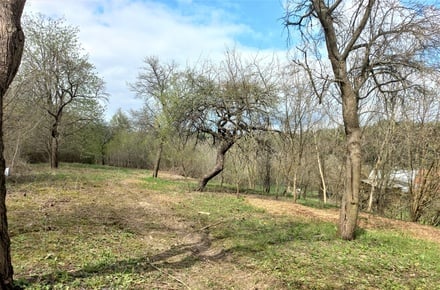 Prodej zahrady 2 519 m², Lysice