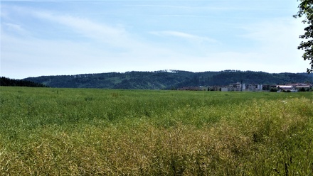 Prodej pole 7 225 m², Letovice