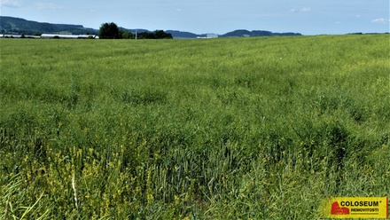 Prodej pole 7 225 m², Letovice