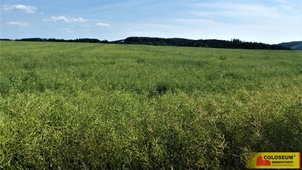 Prodej pole 7 225 m², Letovice