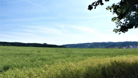 Prodej pole 7 225 m², Letovice