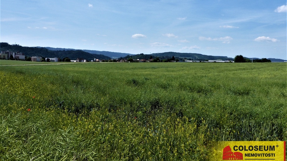 Prodej pole 7 225 m², Letovice