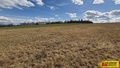 Prodej pole 14 686 m², Brodek u Konice