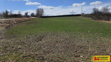 Prodej pole 14 686 m², Brodek u Konice