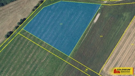 Prodej pole 14 686 m², Brodek u Konice