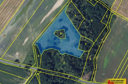 Prodej pole 14 686 m², Brodek u Konice