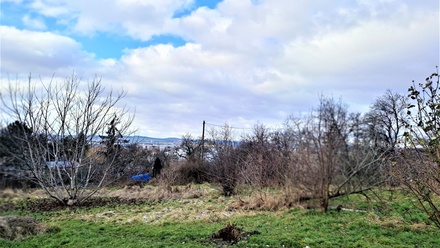 Prodej stavebního pozemku 1 245 m², Brno - Slatina