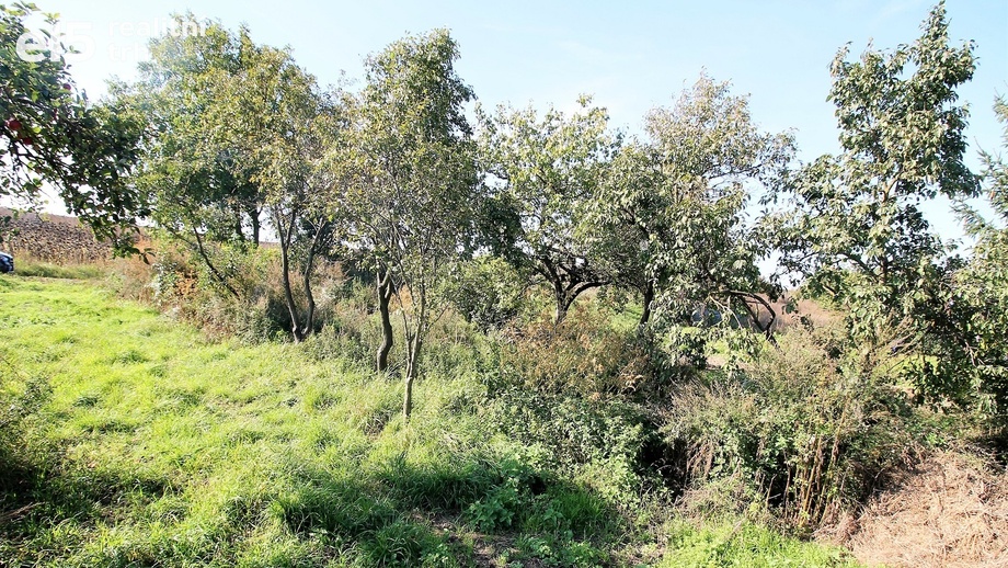Prodej pozemky - zahrady, 447 m² - Valtice