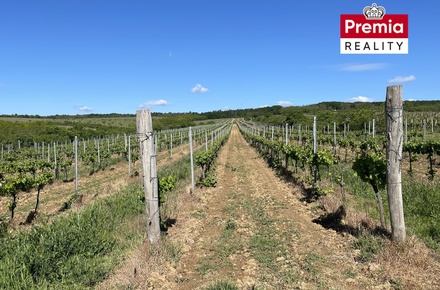 Prodej sadu / vinice 86 440 m², Nový Šaldorf-Sedlešovice
