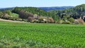Prodej chaty 95 m², Černé Voděrady