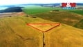 Prodej pole 18 948 m², Kladruby