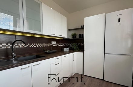 Pronájem bytu 2+1 50 m², Ostrava - Hrabůvka