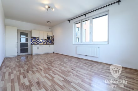 Pronájem bytu 1+kk 33 m², Praha - Vysočany