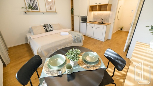 Pronájem bytu 1+kk 28 m², Zábrdovice