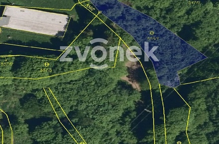 Prodej lesa 4 429 m², Vsetín - Rokytnice
