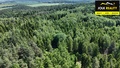 Prodej lesa 13 182 m², Vršovice