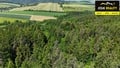 Prodej lesa 13 182 m², Vršovice