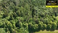 Prodej lesa 13 182 m², Vršovice