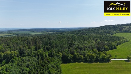 Prodej lesa 13 182 m², Vršovice