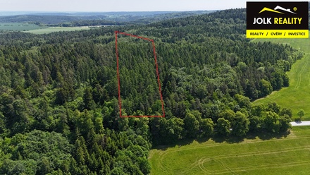 Prodej lesa 13 182 m², Vršovice