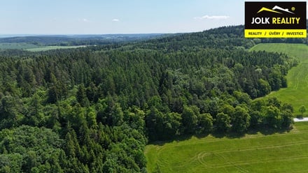 Prodej lesa 13 182 m², Vršovice