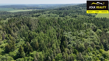 Prodej lesa 13 182 m², Vršovice