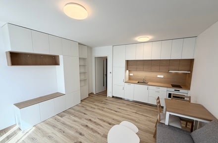 Pronájem bytu 1+kk 29 m², Letovice
