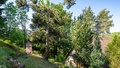 Prodej chaty 97 m², Lipová - Seč