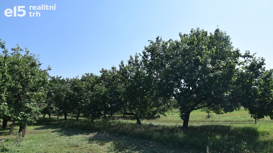 Prodej pozemky pro bydlení, 550 m² - Velké Pavlovice
