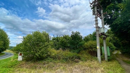 Prodej stavebního pozemku 2 410 m², Blížejov - Malonice