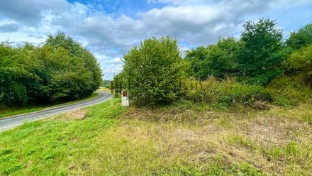 Prodej stavebního pozemku 2 410 m², Blížejov - Malonice