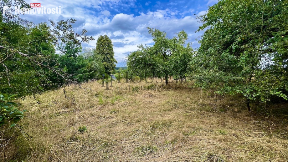 Prodej stavebního pozemku 2 410 m², Blížejov - Malonice