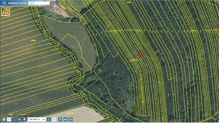 Prodej lesa 4 786 m², Janovice nad Úhlavou