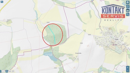 Prodej lesa 4 786 m², Janovice nad Úhlavou