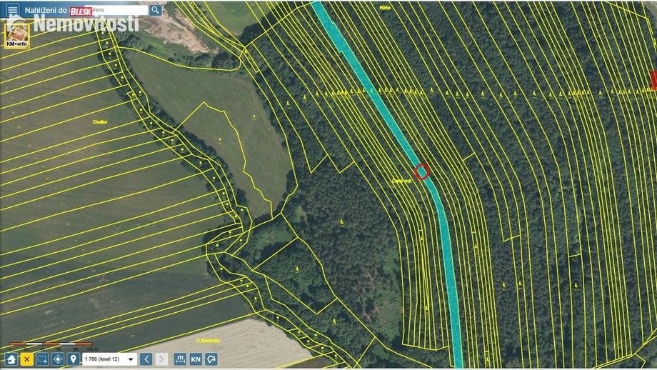 Prodej lesa 4 786 m², Janovice nad Úhlavou