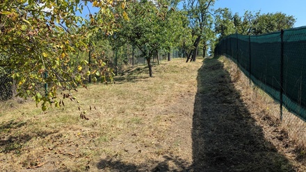 Prodej zahrady 319 m², Brno - Brněnské Ivanovice