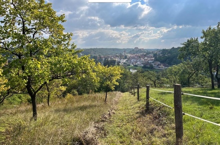 Prodej stavebního pozemku 3 055 m², Dolní Kounice
