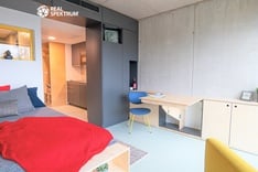 Obrázek k položce: Pronájem bytu 1+kk 24 m², Brno - Trnitá
