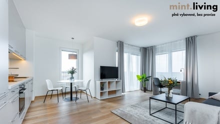 Pronájem bytu 2+kk 61 m², Plzeň - Skvrňany