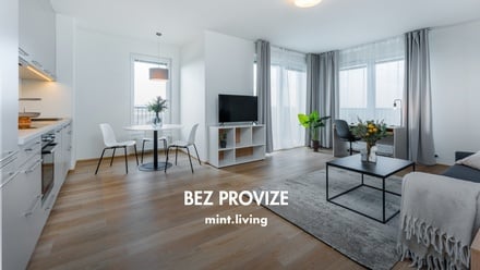 Pronájem bytu 2+kk 61 m², Plzeň - Skvrňany