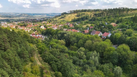 Prodej sadu / vinice 18 257 m², Lysice