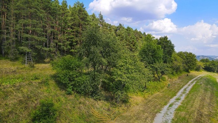 Prodej sadu / vinice 18 257 m², Lysice