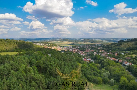 Prodej sadu / vinice 18 257 m², Lysice